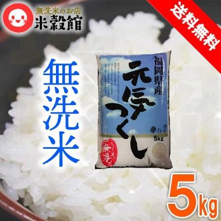福岡県産 元気つくし 無洗米 令和7年産 5kg